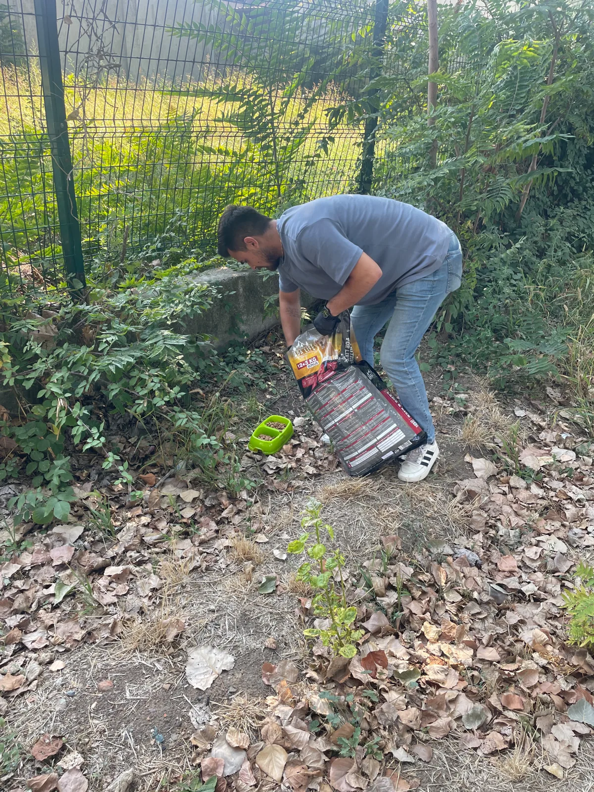 YTDB Sokak Hayvanlarına Destek Etkinliği
